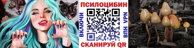 наркота  Талдом  Псилоцибиновые грибы мицелий 